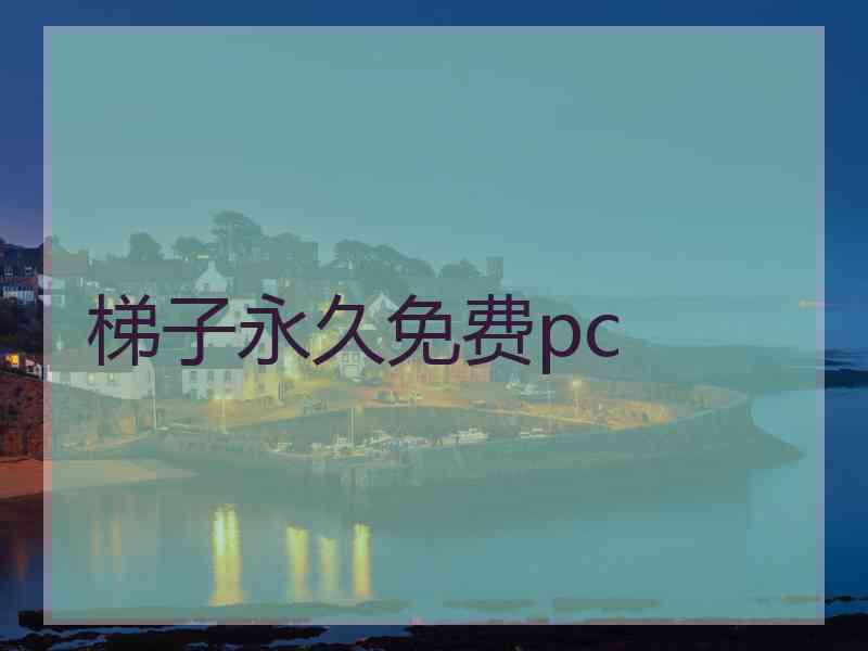 梯子永久免费pc