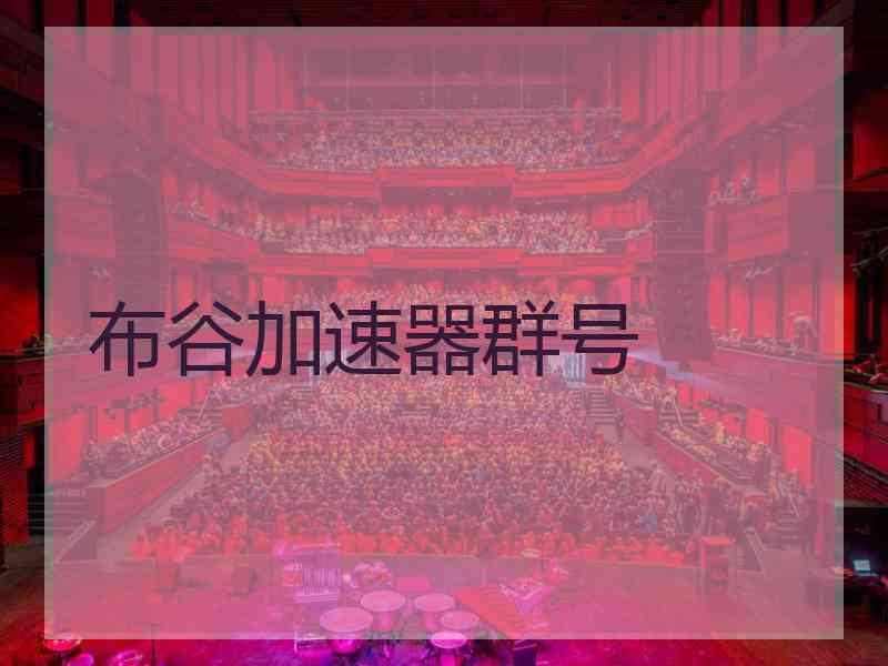 布谷加速器群号