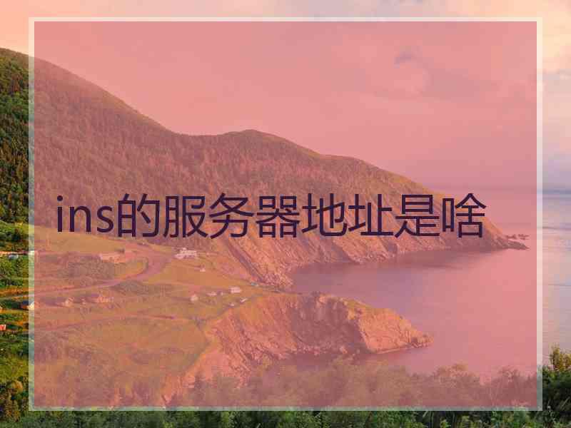 ins的服务器地址是啥