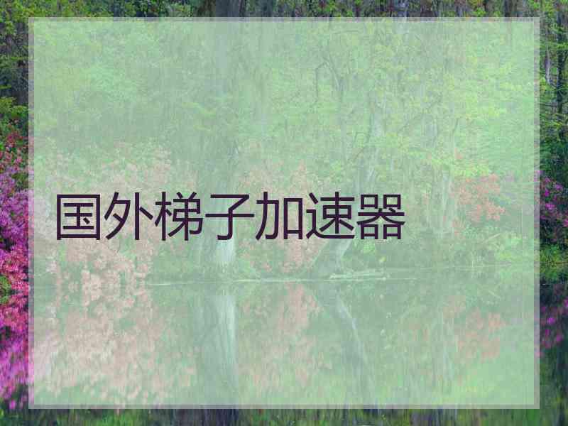 国外梯子加速器