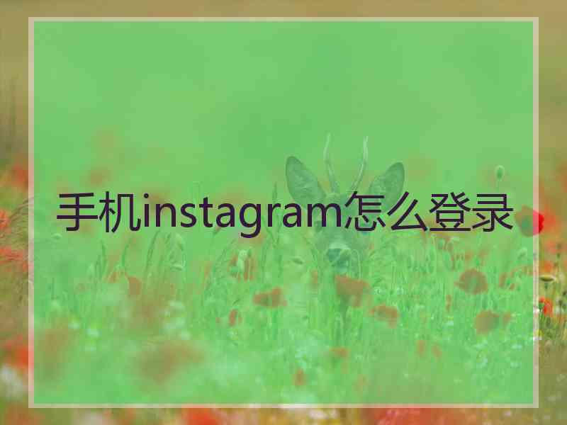 手机instagram怎么登录