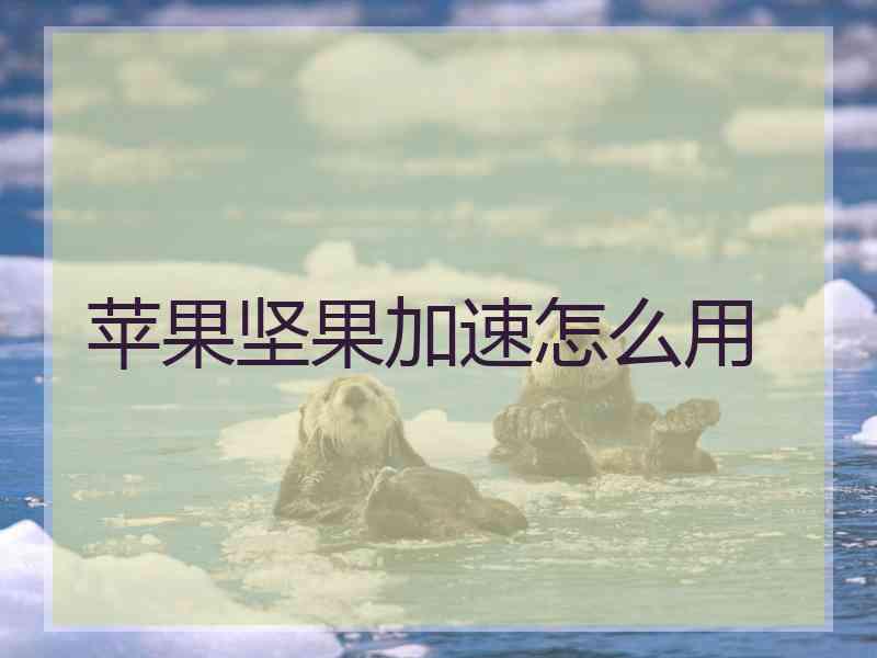 苹果坚果加速怎么用