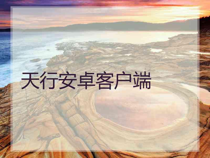 天行安卓客户端