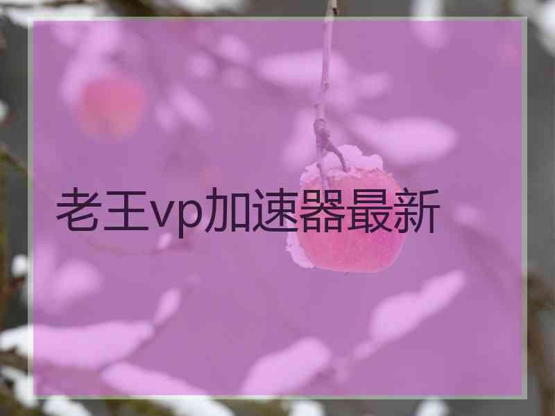 老王vp加速器最新