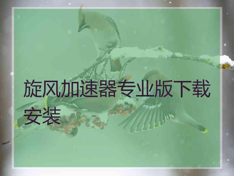 旋风加速器专业版下载安装
