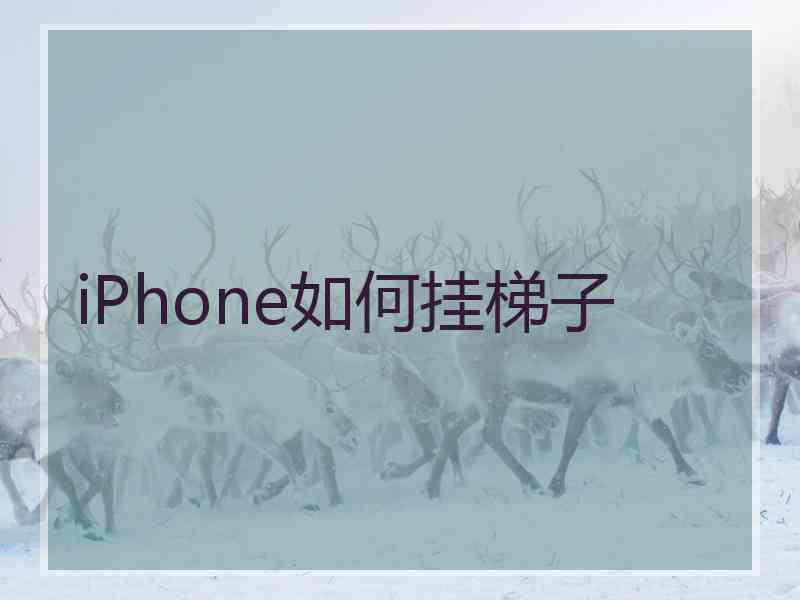 iPhone如何挂梯子