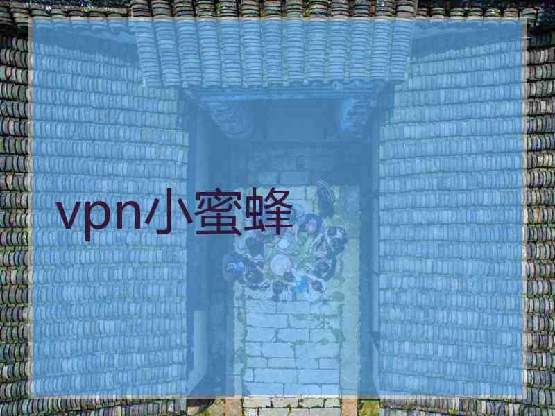 vpn小蜜蜂